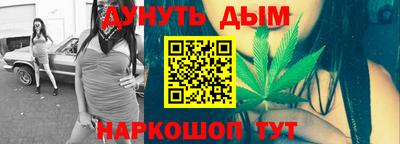 мдпв Гатчина