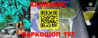 мдпв Гатчина